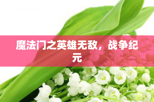 魔法门之英雄无敌，战争纪元