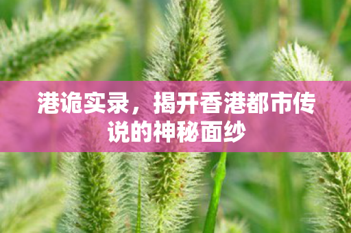 港诡实录，揭开香港都市传说的神秘面纱