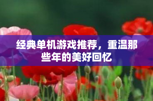经典单机游戏推荐，重温那些年的美好回忆