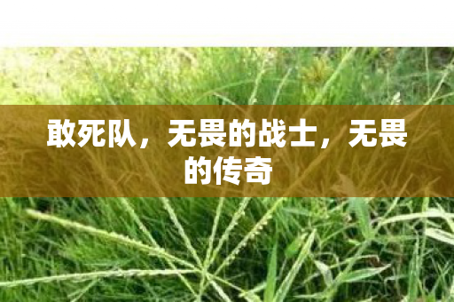 敢死队，无畏的战士，无畏的传奇