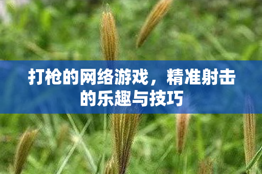 打枪的网络游戏，精准射击的乐趣与技巧
