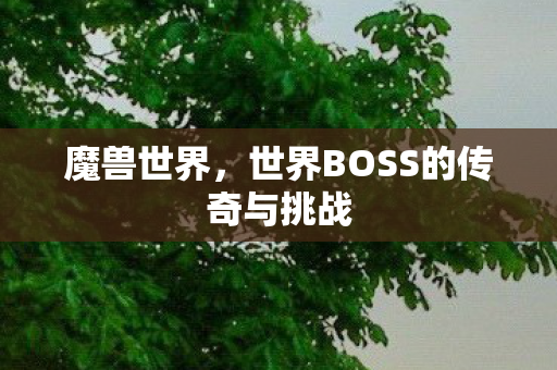魔兽世界，世界BOSS的传奇与挑战