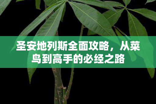 圣安地列斯全面攻略，从菜鸟到高手的必经之路