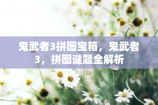 鬼武者3拼图宝箱,鬼武者3,拼图谜题全解析 鬼武者3拼图宝箱,鬼武者3,拼图谜题全解析