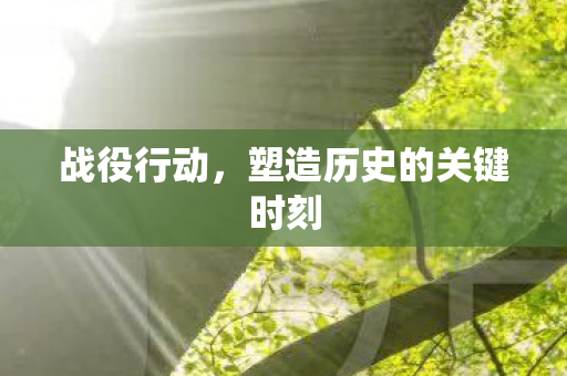 战役行动,塑造历史的关键时刻 战役行动,塑造历史的关键时刻