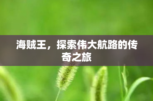 海贼王，探索伟大航路的传奇之旅