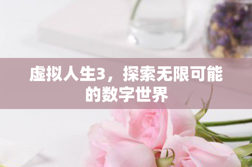 虚拟人生3，探索无限可能的数字世界