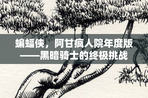 蝙蝠侠,阿甘疯人院年度版——黑暗骑士的终极挑战 蝙蝠侠,阿甘疯人院年度版——黑暗骑士的终极挑战