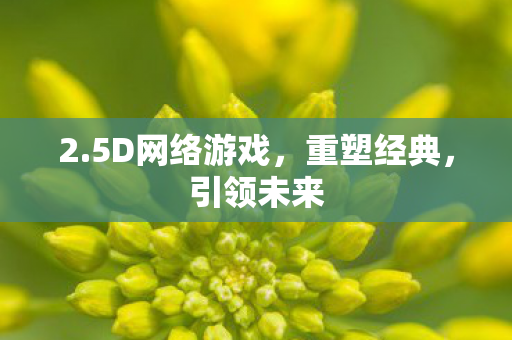 2.5D网络游戏,重塑经典,引领未来 2.5D网络游戏,重塑经典,引领未来