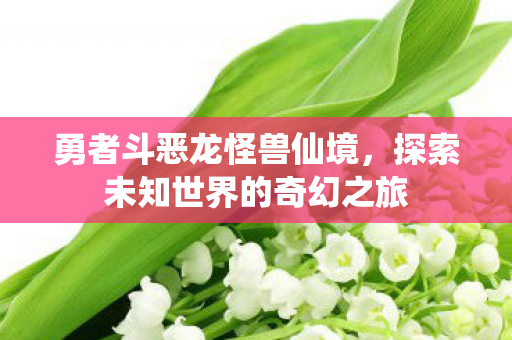勇者斗恶龙怪兽仙境，探索未知世界的奇幻之旅