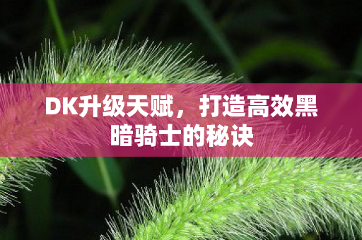 DK升级天赋，打造高效黑暗骑士的秘诀