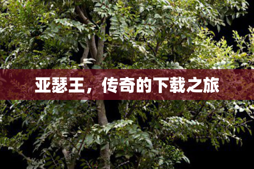 亚瑟王,传奇的下载之旅 亚瑟王,传奇的下载之旅