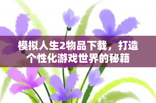 模拟人生2物品下载，打造个性化游戏世界的秘籍