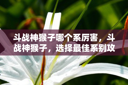 斗战神猴子哪个系厉害,斗战神猴子,选择最佳系别攻略 斗战神猴子哪个系厉害,斗战神猴子,选择最佳系别攻略