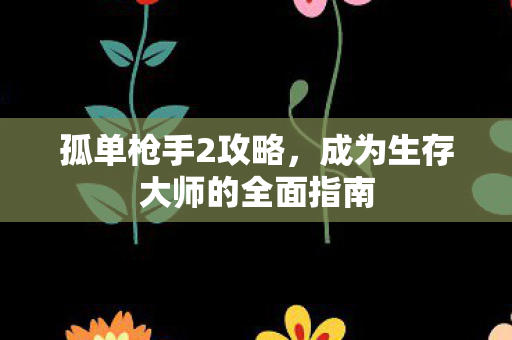 孤单枪手2攻略，成为生存大师的全面指南