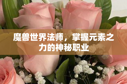 魔兽世界法师,掌握元素之力的神秘职业 魔兽世界法师,掌握元素之力的神秘职业