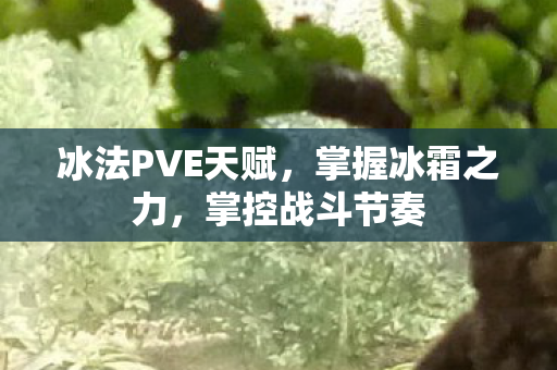 冰法PVE天赋，掌握冰霜之力，掌控战斗节奏