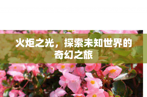火炬之光，探索未知世界的奇幻之旅