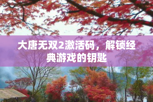 大唐无双2激活码，解锁经典游戏的钥匙