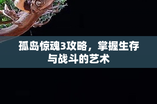 孤岛惊魂3攻略，掌握生存与战斗的艺术