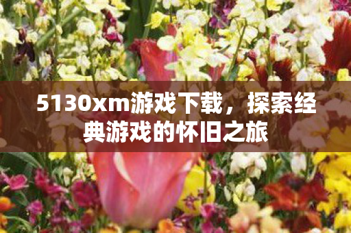 5130xm游戏下载，探索经典游戏的怀旧之旅