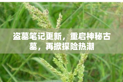 盗墓笔记更新，重启神秘古墓，再掀探险热潮