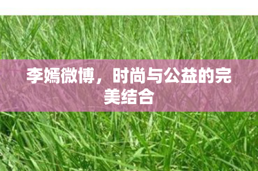 李嫣微博，时尚与公益的完美结合