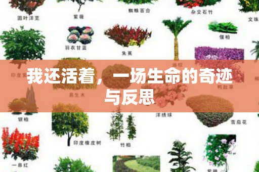 我还活着,一场生命的奇迹与反思 我还活着,一场生命的奇迹与反思