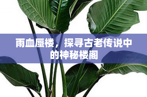 雨血蜃楼，探寻古老传说中的神秘楼阁