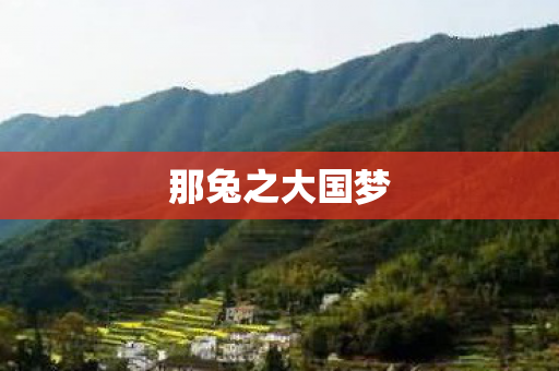 那兔之大国梦