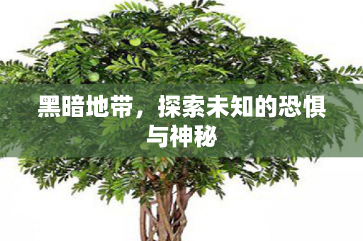 黑暗地带，探索未知的恐惧与神秘