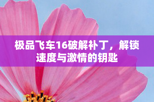 极品飞车16破解补丁图片