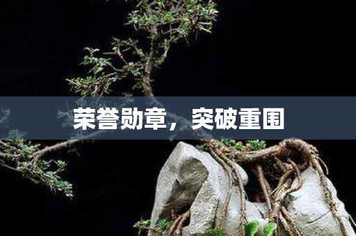 荣誉勋章，突破重围