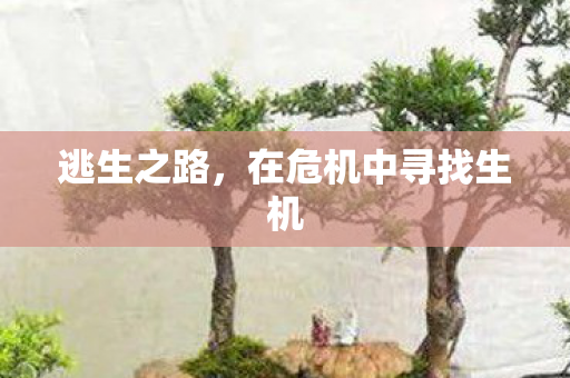 逃生之路，在危机中寻找生机