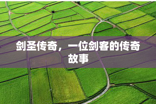 剑圣传奇,一位剑客的传奇故事 剑圣传奇,一位剑客的传奇故事