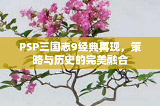 PSP三国志9经典再现，策略与历史的完美融合