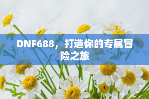 DNF688，打造你的专属冒险之旅