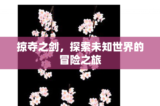 掠夺之剑，探索未知世界的冒险之旅