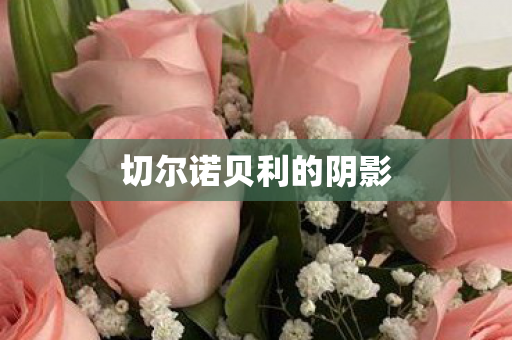 切尔诺贝利的阴影