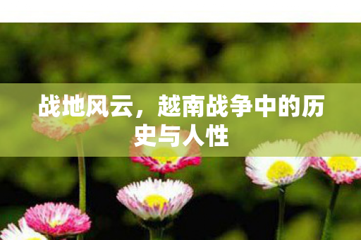 战地风云,越南战争中的历史与人性 战地风云,越南战争中的历史与人性