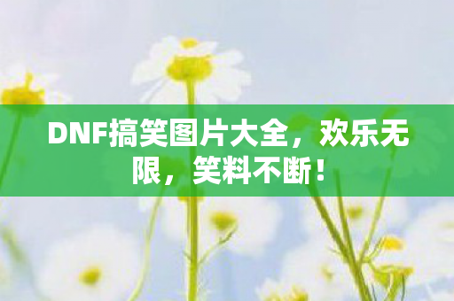 DNF搞笑图片大全,欢乐无限,笑料不断! DNF搞笑图片大全,欢乐无限,笑料不断!