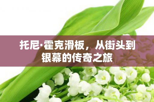 托尼·霍克滑板，从街头到银幕的传奇之旅