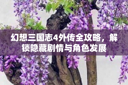 幻想三国志4外传全攻略，解锁隐藏剧情与角色发展