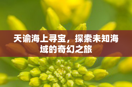 天谕海上寻宝，探索未知海域的奇幻之旅