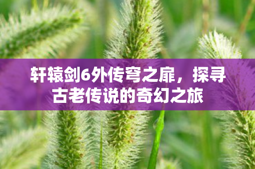 轩辕剑6外传穹之扉，探寻古老传说的奇幻之旅