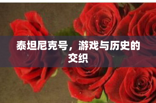泰坦尼克号，游戏与历史的交织