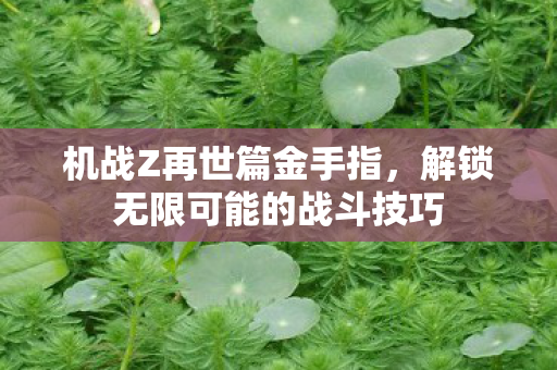 机战Z再世篇金手指，解锁无限可能的战斗技巧