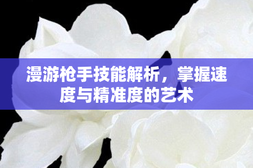 漫游枪手技能解析，掌握速度与精准度的艺术
