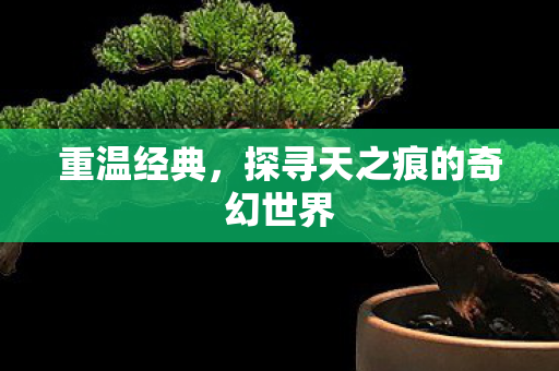 重温经典，探寻天之痕的奇幻世界