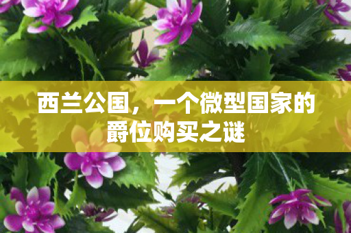 西兰公国,一个微型国家的爵位购买之谜 西兰公国,一个微型国家的爵位购买之谜